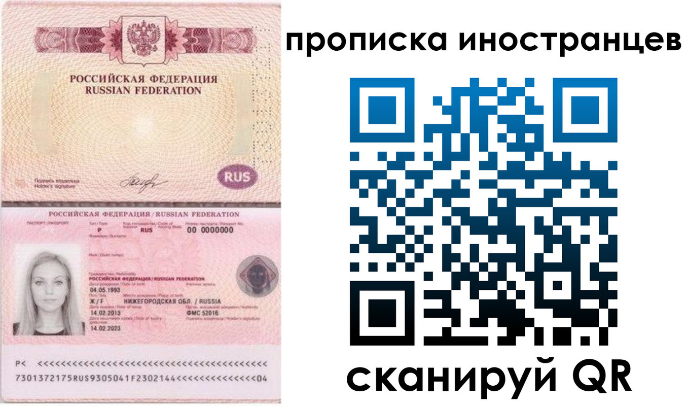 прописка поиск в Кингисеппе